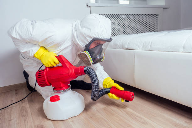Best Flea Control Services  in Kelso, WA