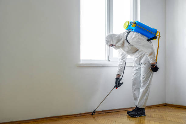 Best Local Pest Control Services  in Kelso, WA