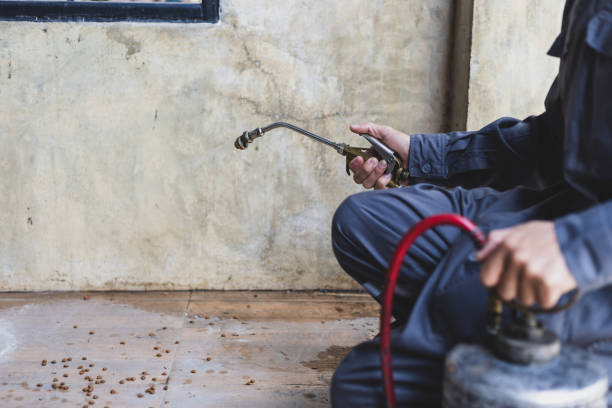 Best Rat Extermination Near Me  in Kelso, WA