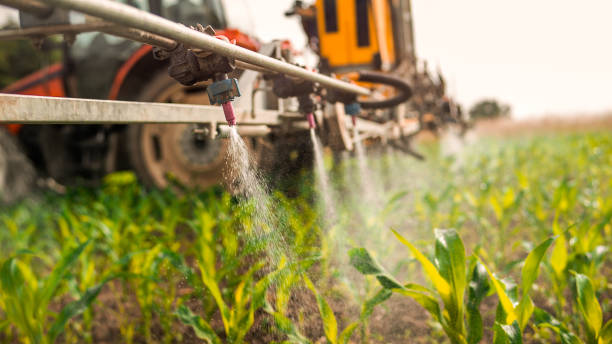  Kelso, WA Pest Control Pros