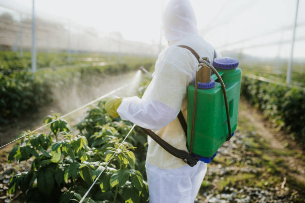 Best Residential Pest Control  in Kelso, WA